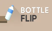 Bottle Flip img