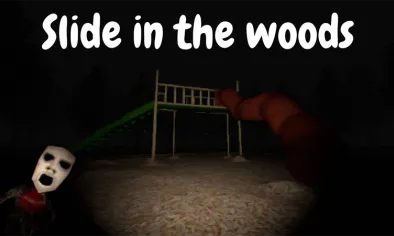 Slide in the Woods img